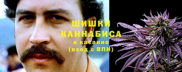 ГАЛЛЮЦИНОГЕННЫЕ ГРИБЫ Медногорск