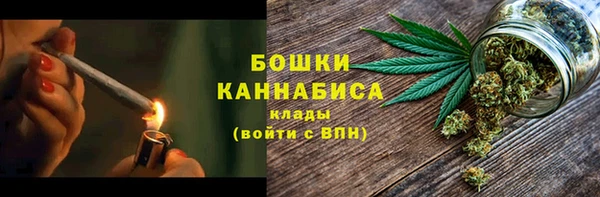 ГАЛЛЮЦИНОГЕННЫЕ ГРИБЫ Медногорск