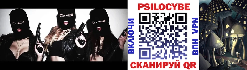 Галлюциногенные грибы MAGIC MUSHROOMS  Купить закладки  Черняховск 