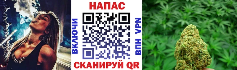 Купить где Черняховск Конопля сатива